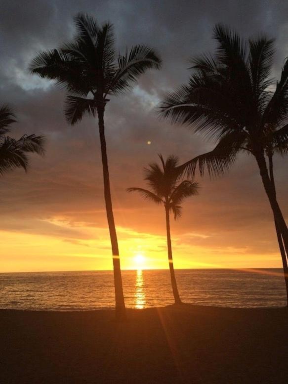 Newly Renovated Condo With Sup Paddle Boards And Golf Clubs Included Kailua-Kona Exteriör bild