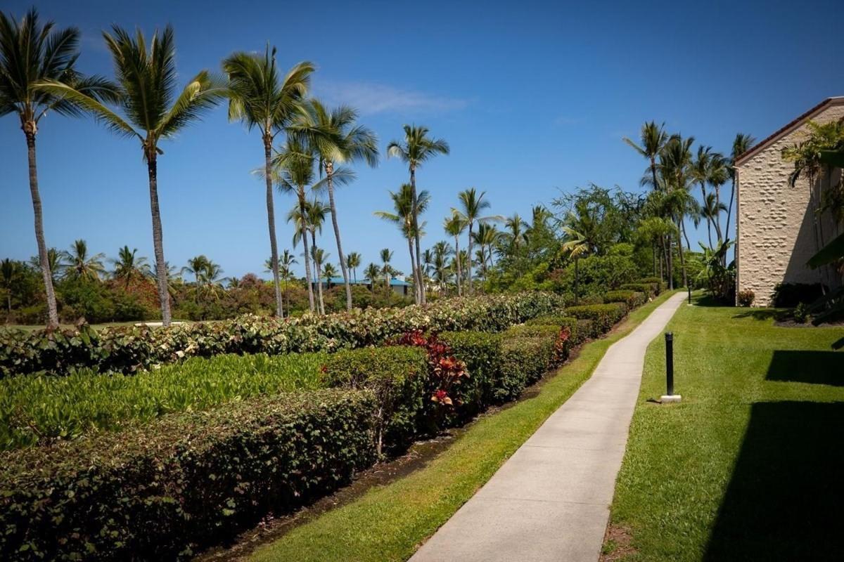 Newly Renovated Condo With Sup Paddle Boards And Golf Clubs Included Kailua-Kona Exteriör bild